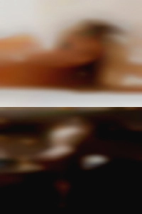 Arturomellott, , 