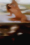 fuzzbinford1981, , 