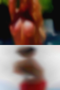 bearnioceabee, , 