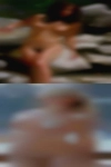 Blondelleshafer1995, , 